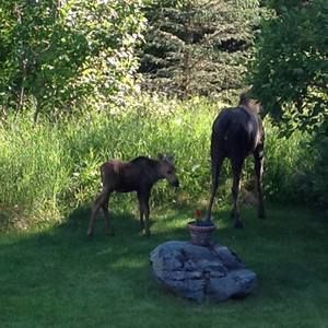 Meet your Posher, Karen